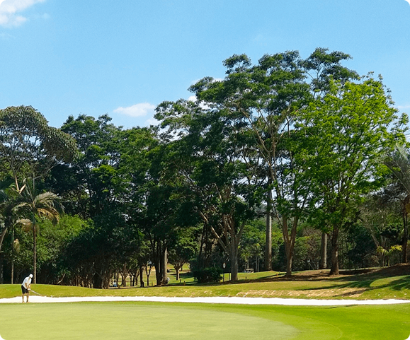 golfe 1