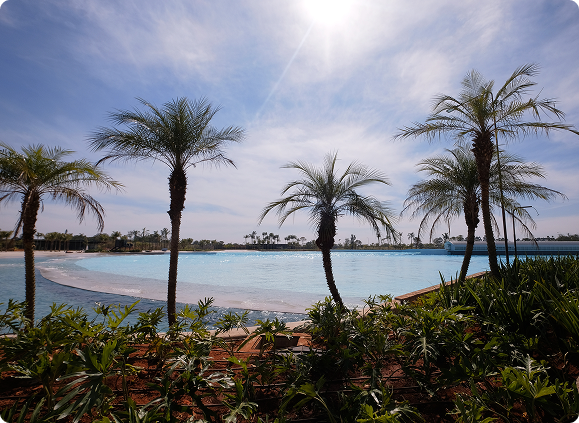oasis 3