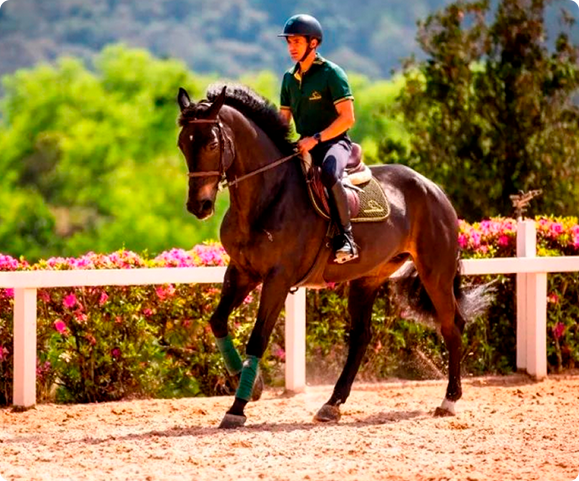 grand pista jundu 1 2